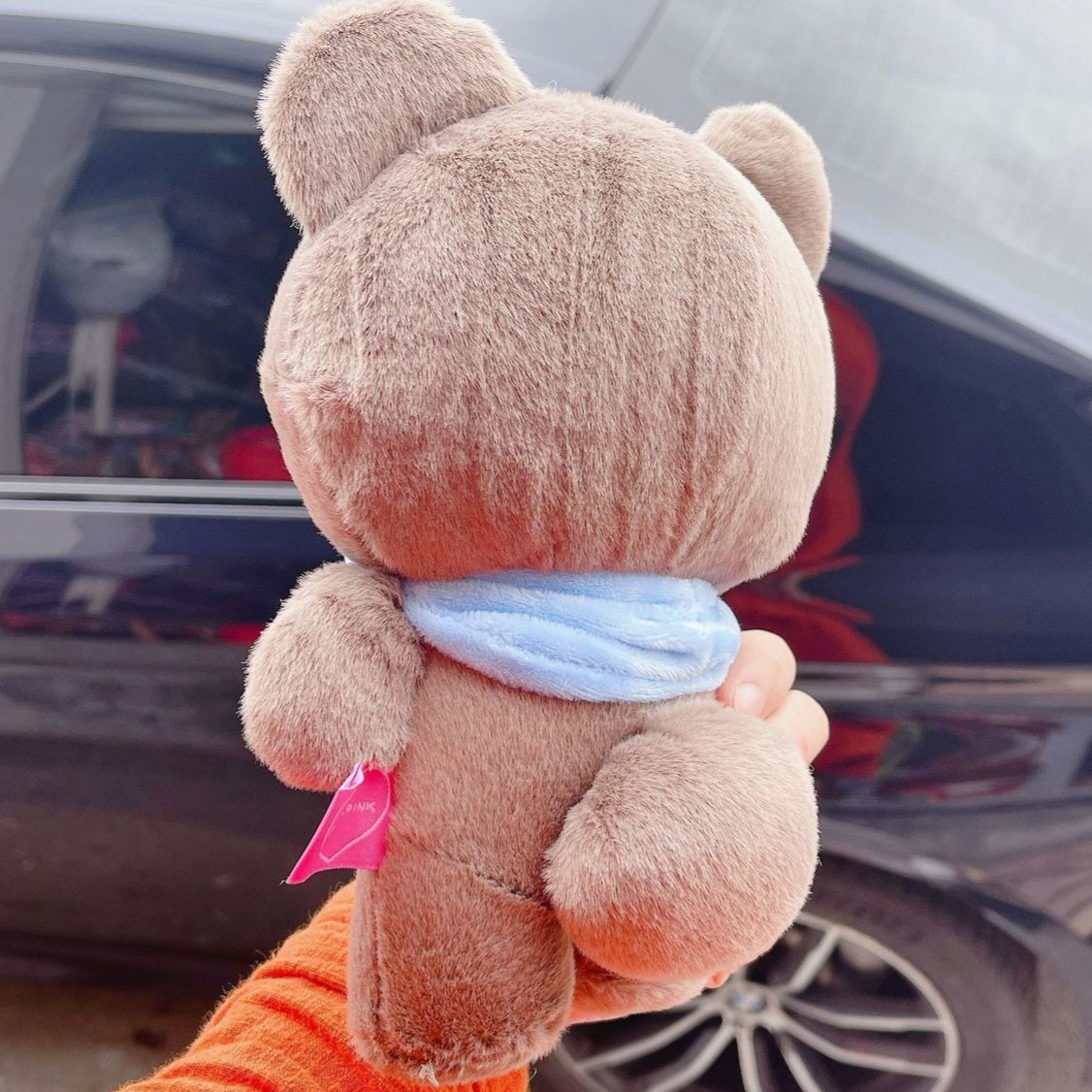 PELUCHE DE PERSONAJES DE LA GIRA DE BLACKPINK (25 cm)