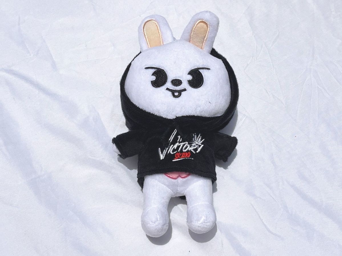 SKZOO STRAY KIDS PLUSH TOYS (20 to 25 cm)
