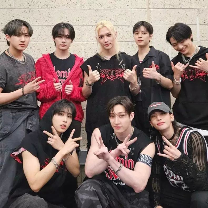 STRAY KIDS DOMIN ATE TOUR SWEATSHIRTS