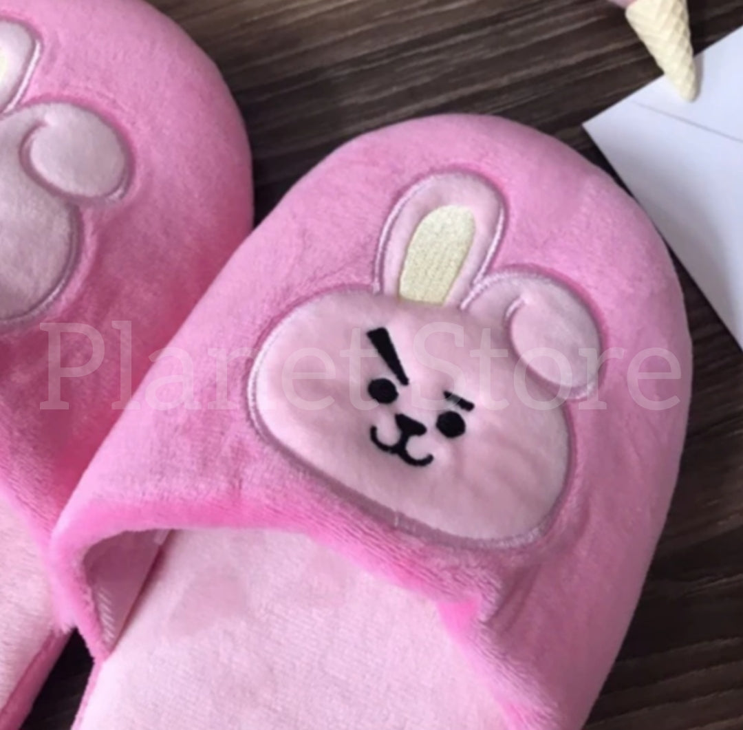 BT21 EMBROIDERED AND PLUSHED SLIPPERS