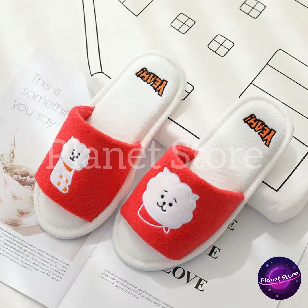 PANTUFAS BT21 BORDADAS E PELUCIADAS