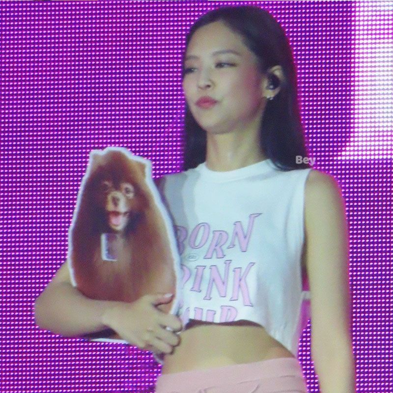 CROPPEDS BLACKPINK BORN PINK 100% ALGODÃO (preto e branco)