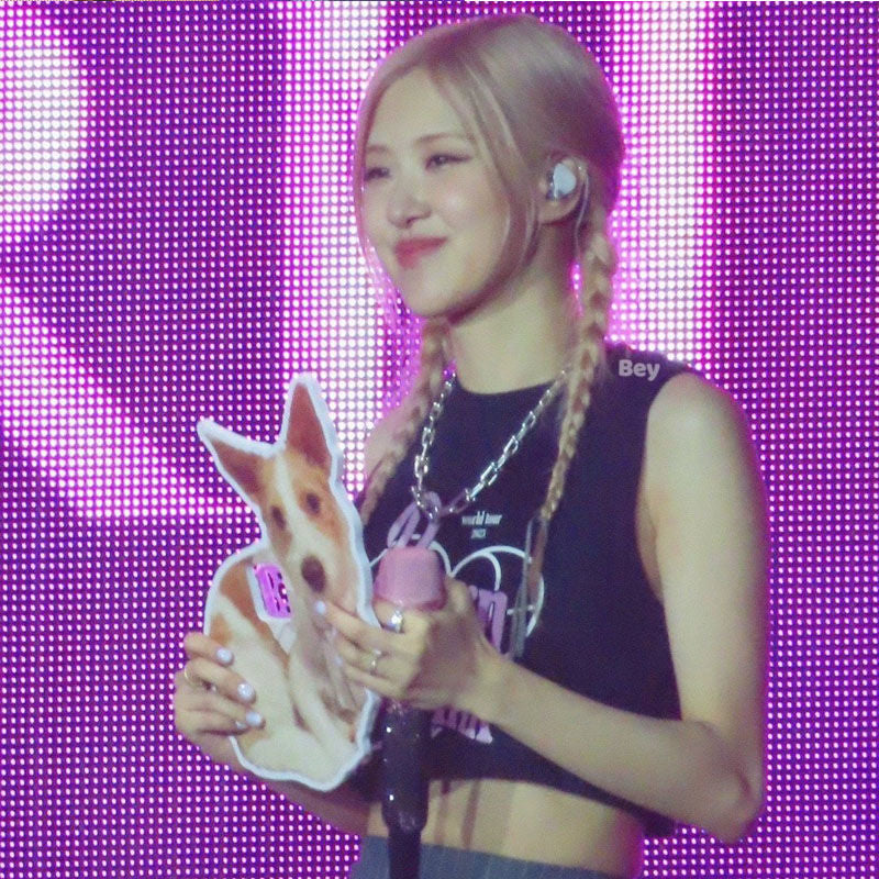 CROPPEDS BLACKPINK BORN PINK 100% ALGODÃO (preto e branco)
