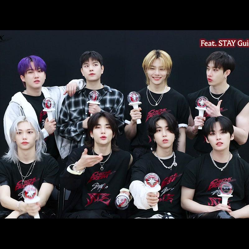 STRAY KIDS 樂-STAR T-SHIRT 100% COTTON (various colors)