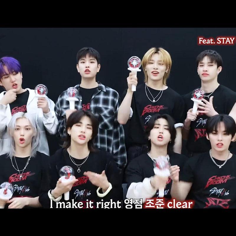 STRAY KIDS 樂-STAR T-SHIRT 100% COTTON (various colors)