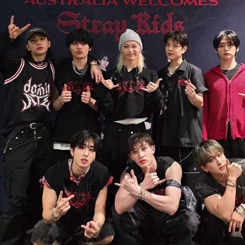 MOLETONS STRAY KIDS Domin ATE TOUR