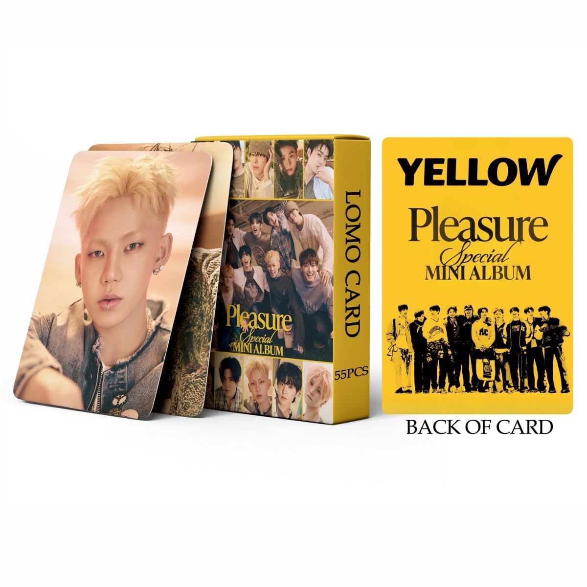 PHOTOCARDS TREASURE PLEASURE 55 PÇS